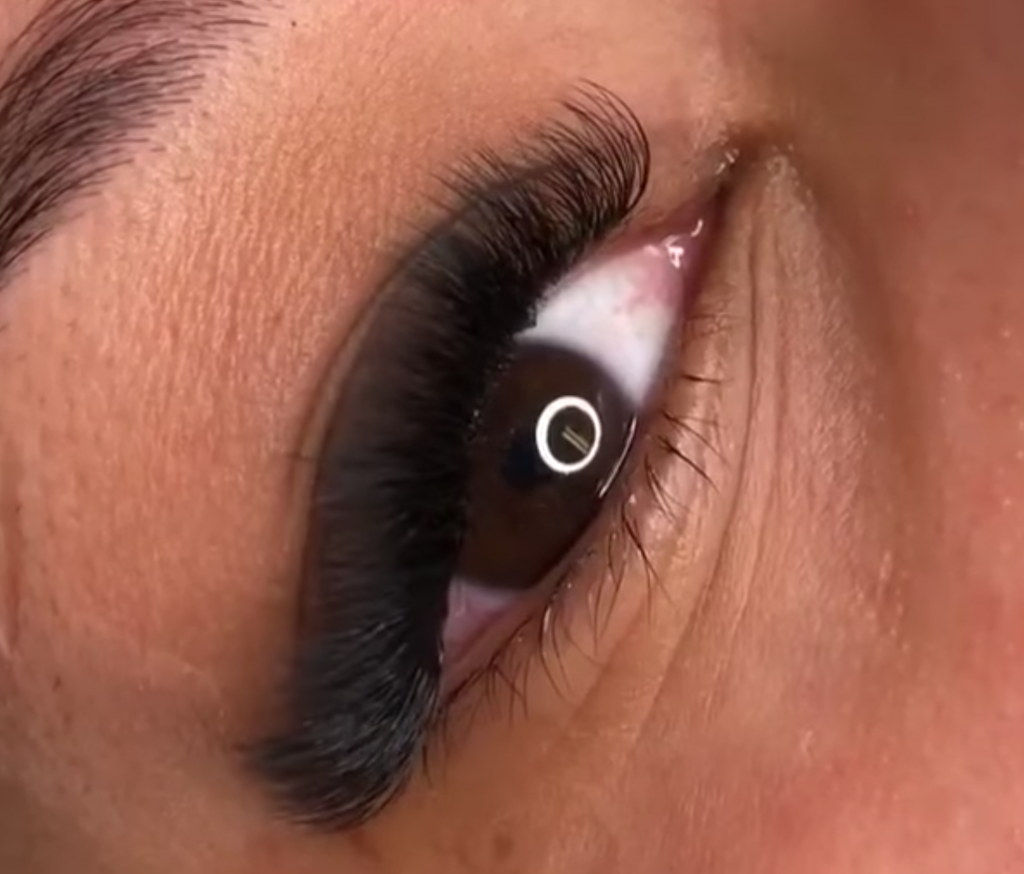 Lash Artists, Lash Directory